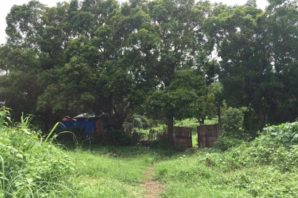 Land for Sale in Barangay 16, Batangas City, Batangas – photo 6
