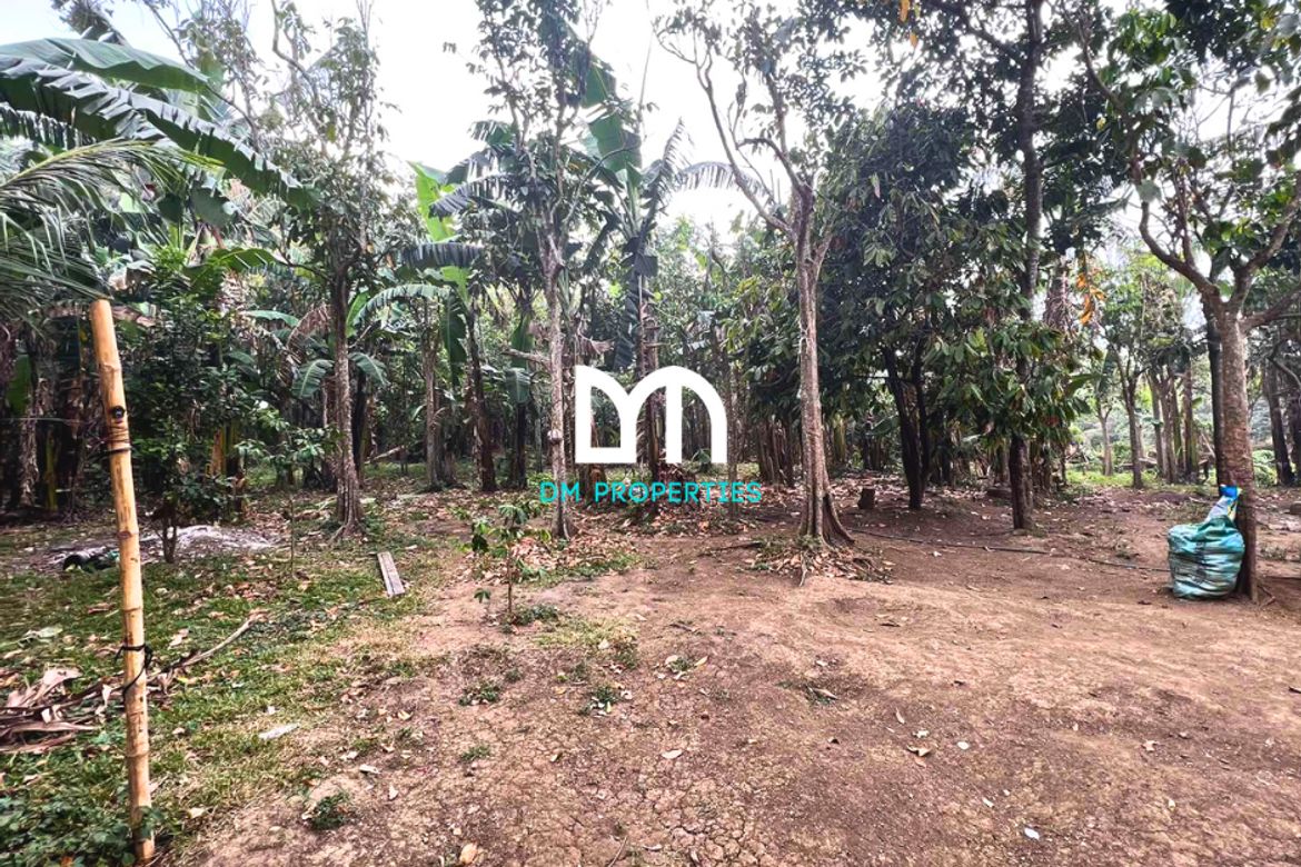 Land for Sale in Barangay 16, Batangas City, Batangas – photo 4