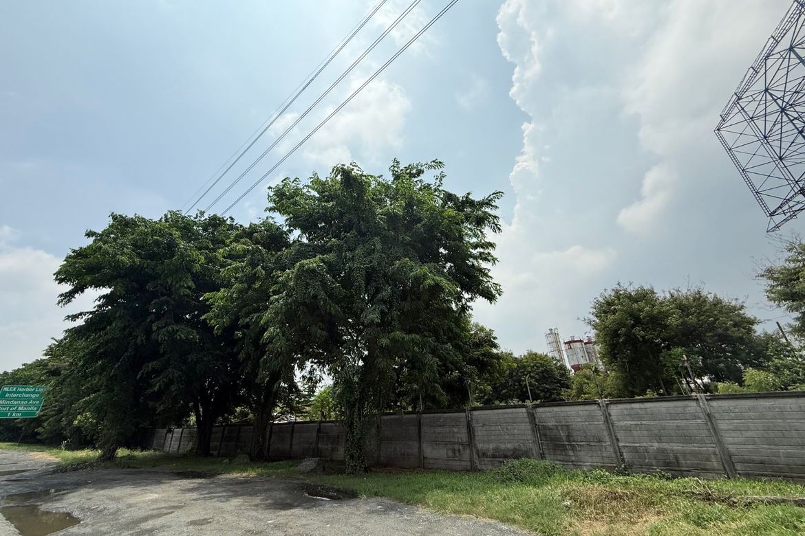 Land for Sale in Barangay 161, Caloocan, Metro Manila – photo 4