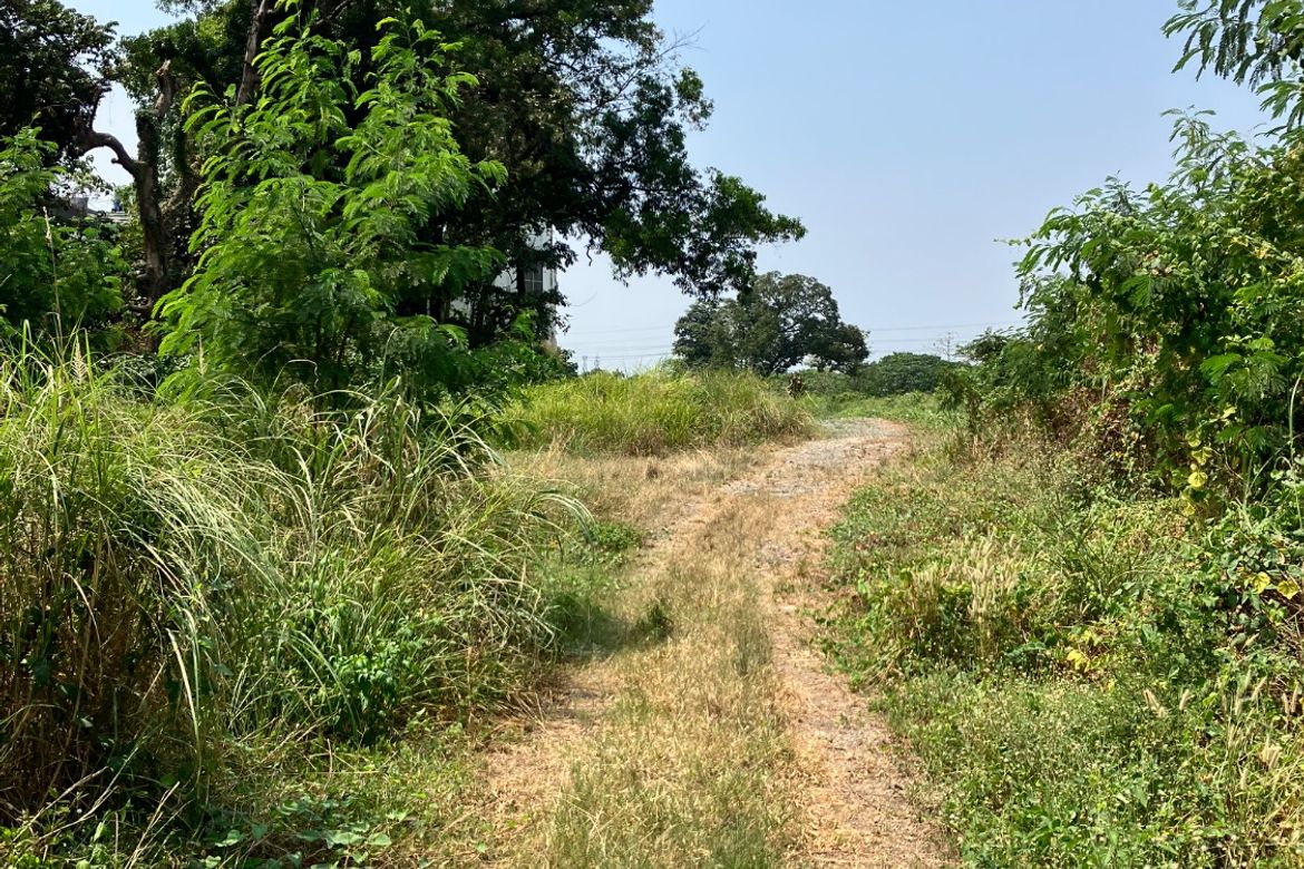 Land for Sale in Barangay 163, Caloocan, Metro Manila