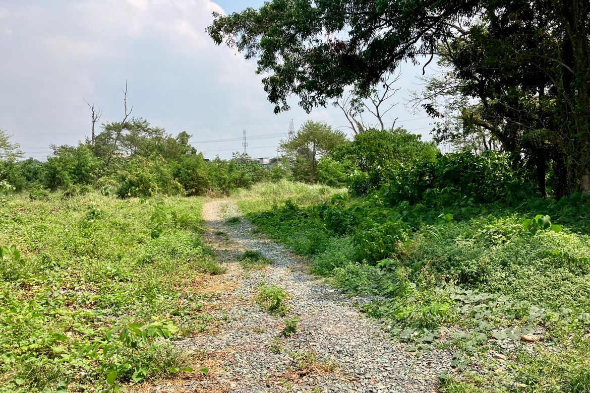 Land for Sale in Barangay 163, Caloocan, Metro Manila – photo 4