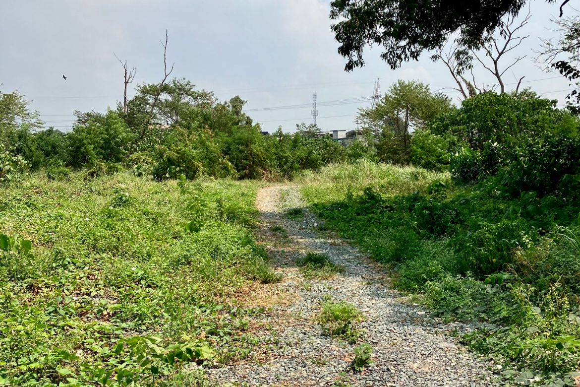 Land for Sale in Barangay 163, Caloocan, Metro Manila – photo 5