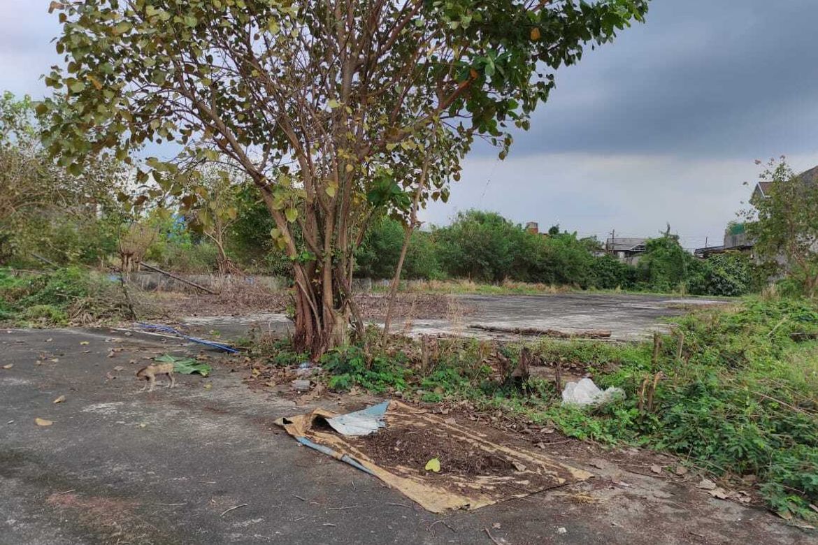 Land for Sale in Barangay 167, Caloocan, Metro Manila – photo 3