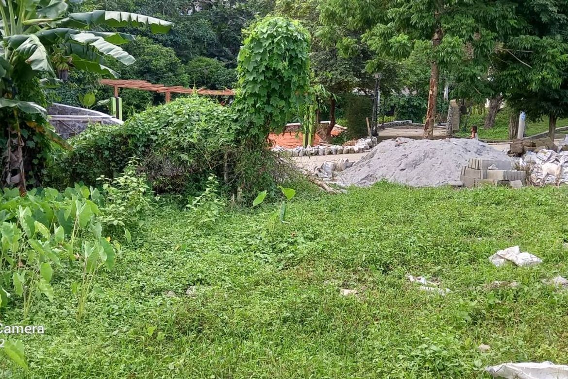 Land for Sale in Barangay 179, Caloocan, Metro Manila – photo 2