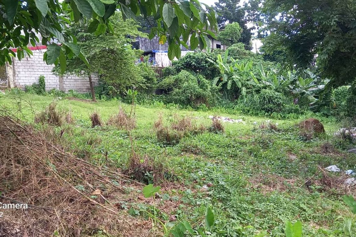Land for Sale in Barangay 179, Caloocan, Metro Manila – photo 5