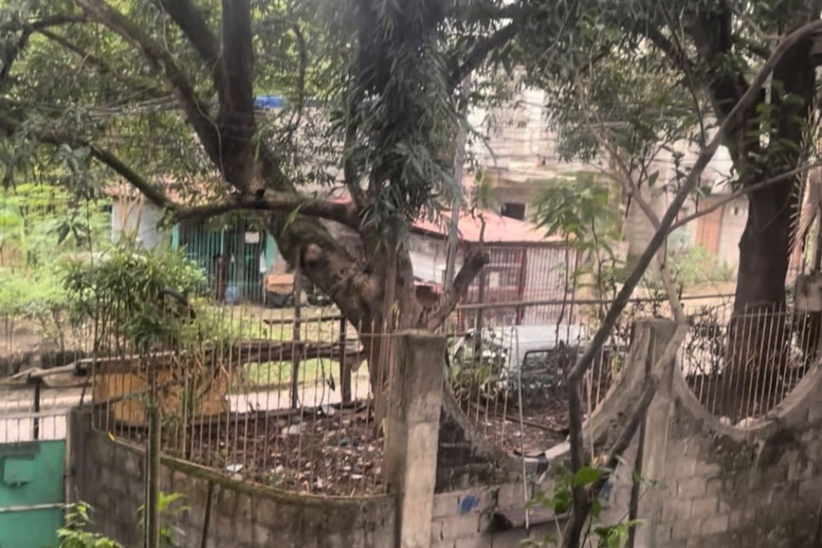 Land for Sale in Barangay 179, Caloocan, Metro Manila – photo 5