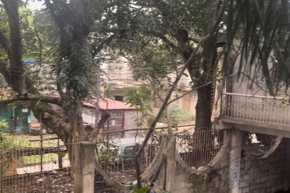 Land for Sale in Barangay 179, Caloocan, Metro Manila – photo 6