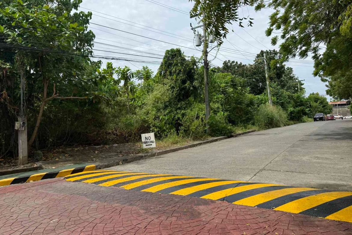 Land for Sale in Barangay 19-B, Davao City, Davao del Sur – photo 3