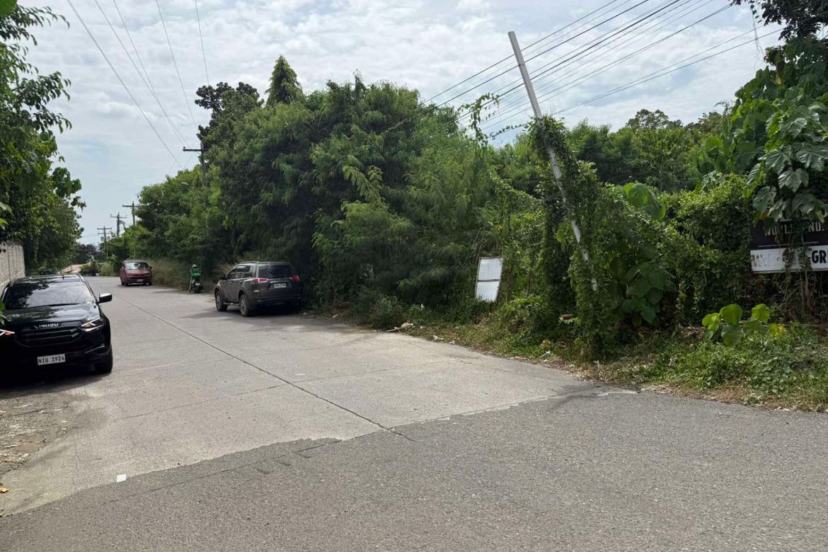 Land for Sale in Barangay 19-B, Davao City, Davao del Sur – photo 7