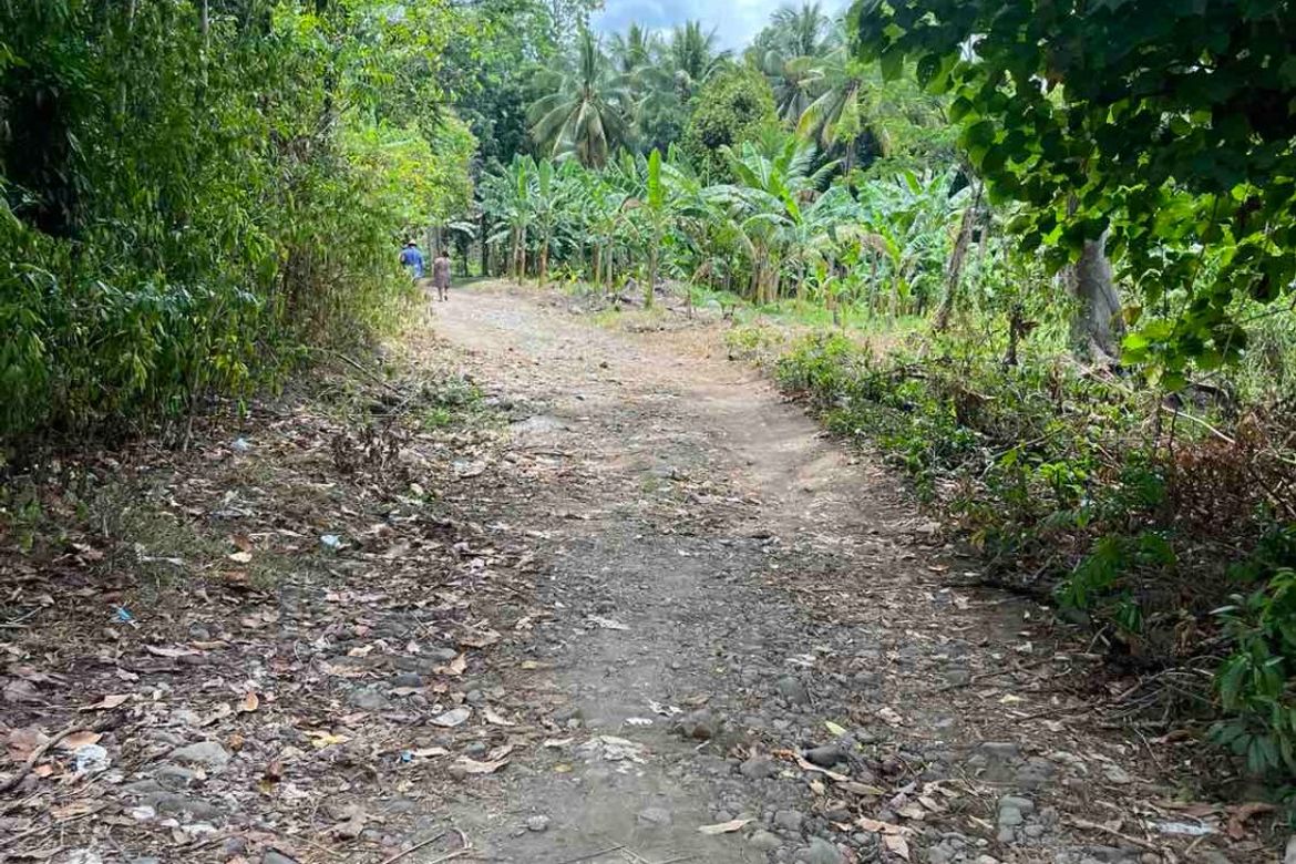 Land for Sale in Barangay 26, Gingoog, Misamis Oriental – photo 3