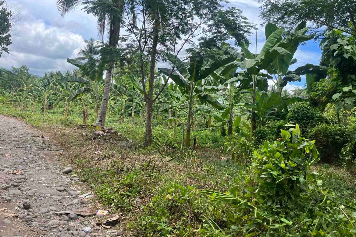 Land for Sale in Barangay 26, Gingoog, Misamis Oriental – photo 5