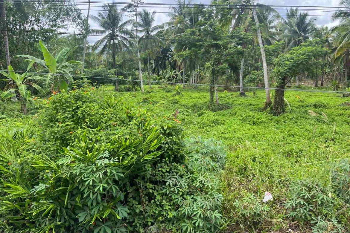 Land for Sale in Barangay 26, Gingoog, Misamis Oriental – photo 7