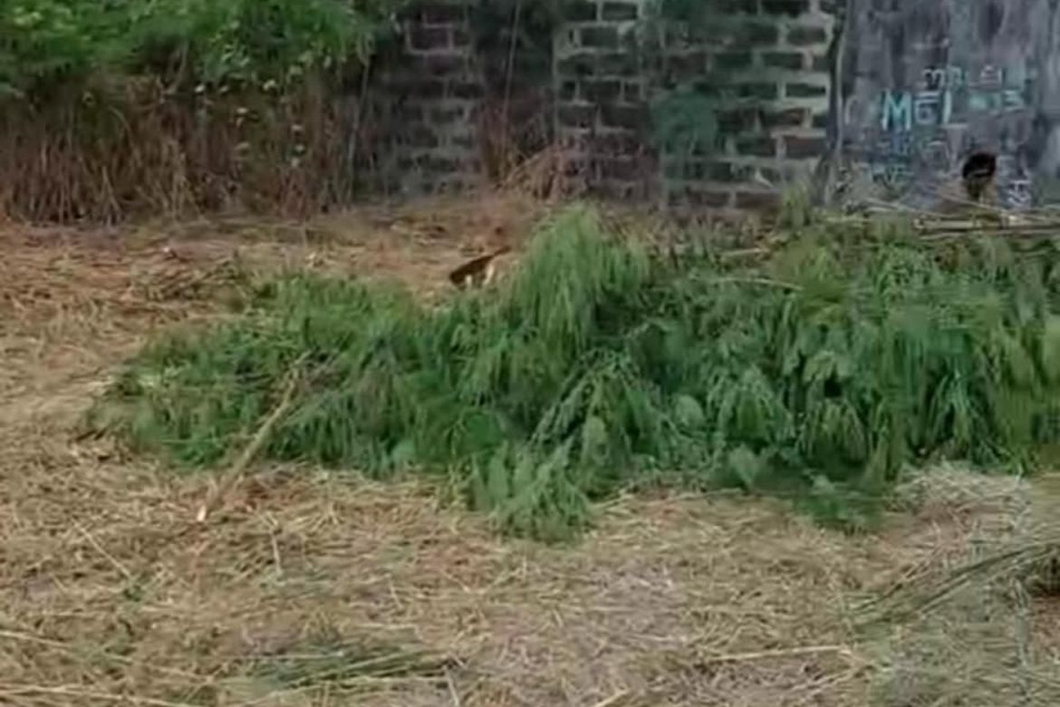 Land for Sale in Barangay 28, Cavite City, Cavite – photo 2