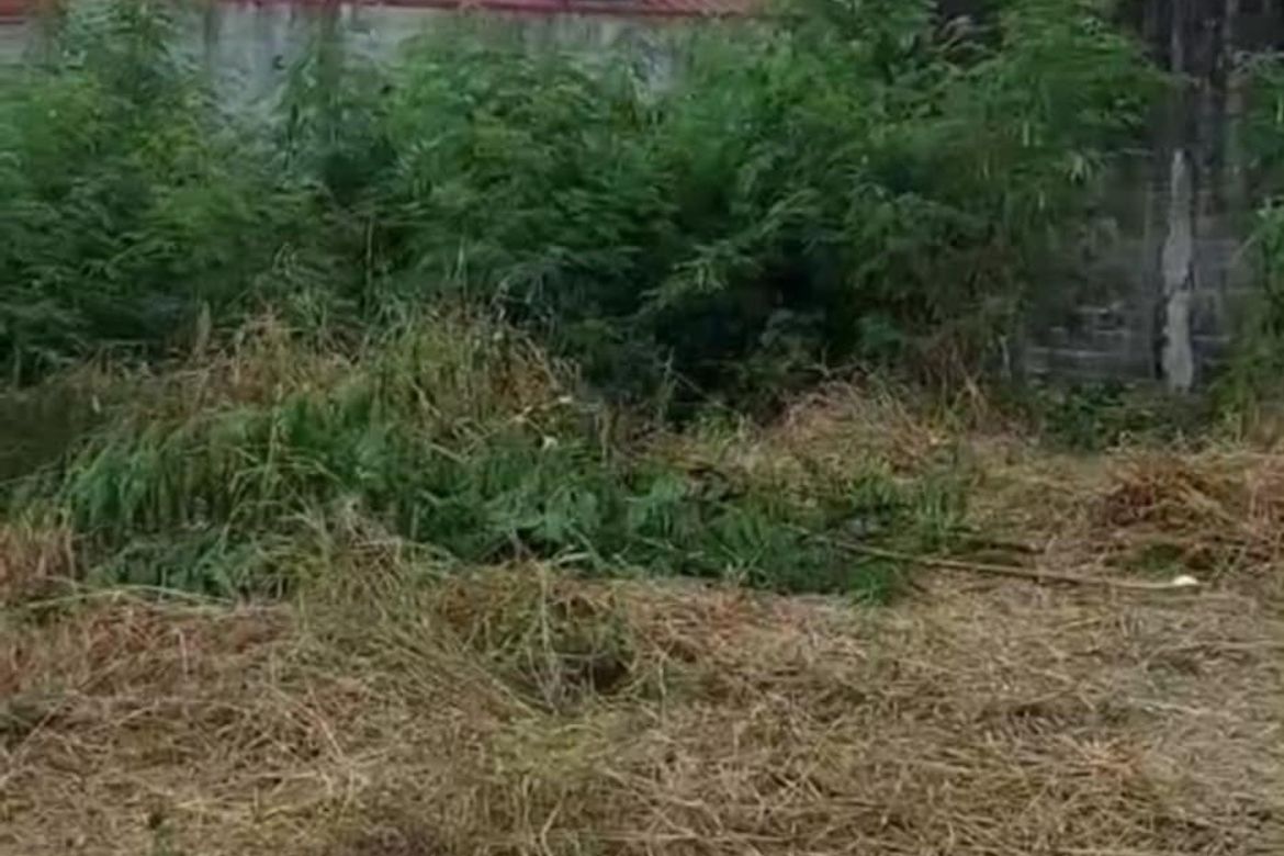Land for Sale in Barangay 28, Cavite City, Cavite – photo 4