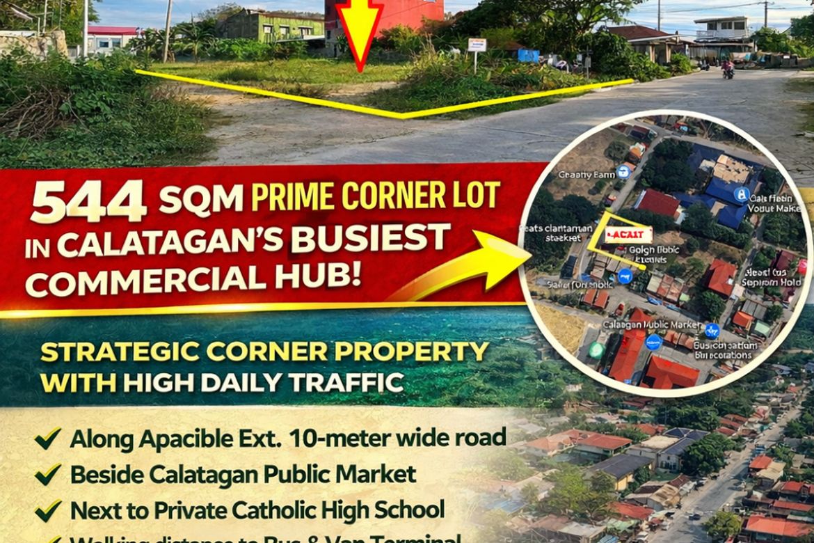 Land for Sale in Barangay 3, Calatagan, Batangas