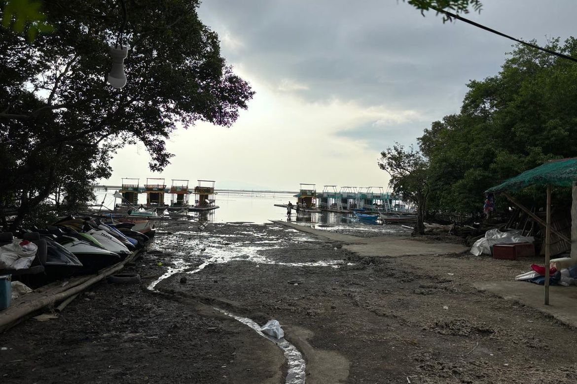 Land for Sale in Barangay 3, Calatagan, Batangas – photo 2