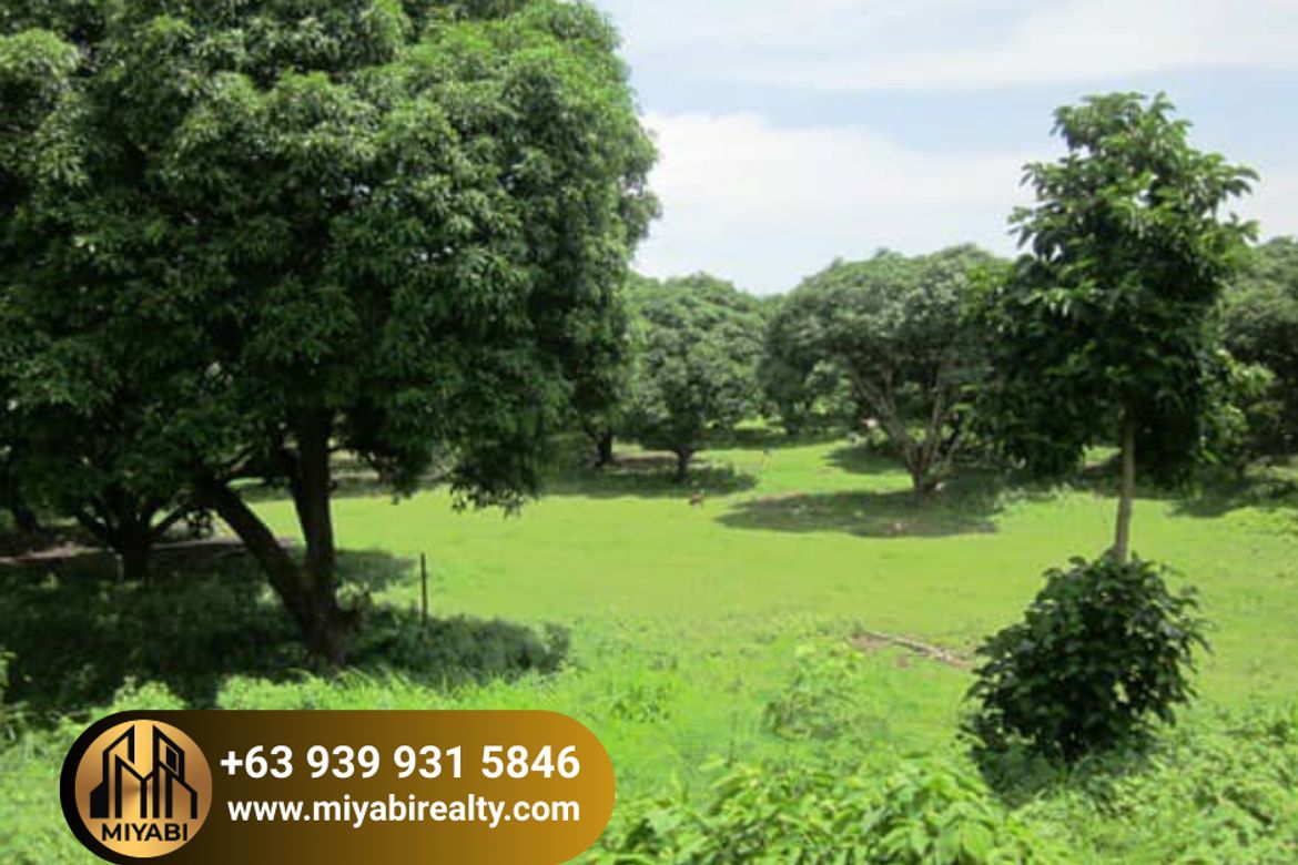 Land for Sale in Barangay 3, Calatagan, Batangas – photo 3