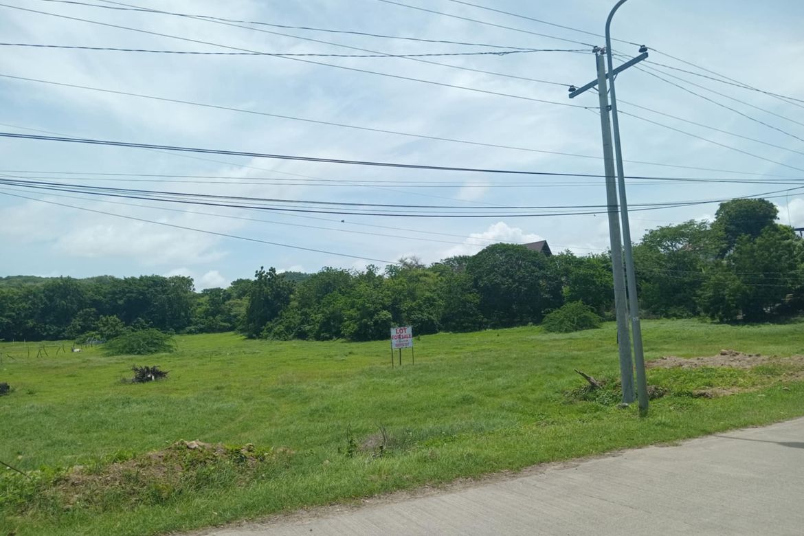 Land for Sale in Barangay 3, Calatagan, Batangas – photo 3