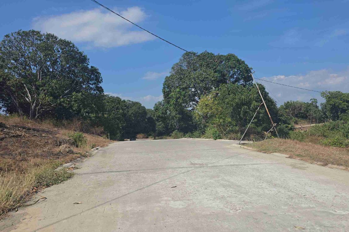 Land for Sale in Barangay 3, Calatagan, Batangas – photo 3
