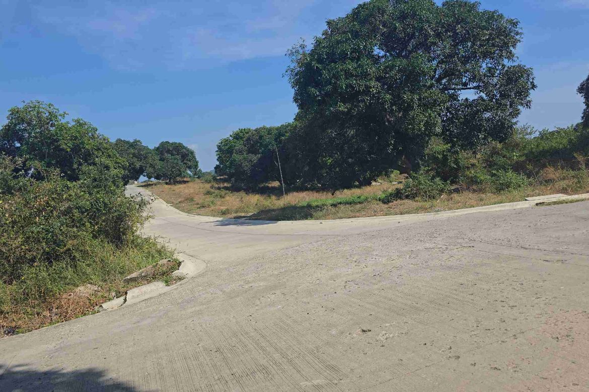 Land for Sale in Barangay 3, Calatagan, Batangas – photo 6