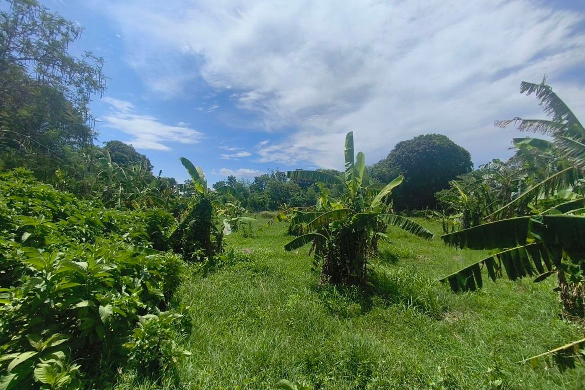 Land for Sale in Barangay 3, Calatagan, Batangas