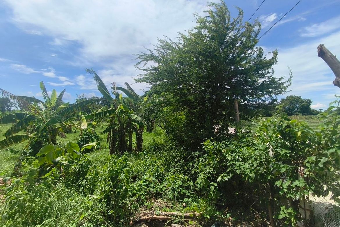 Land for Sale in Barangay 3, Calatagan, Batangas – photo 6