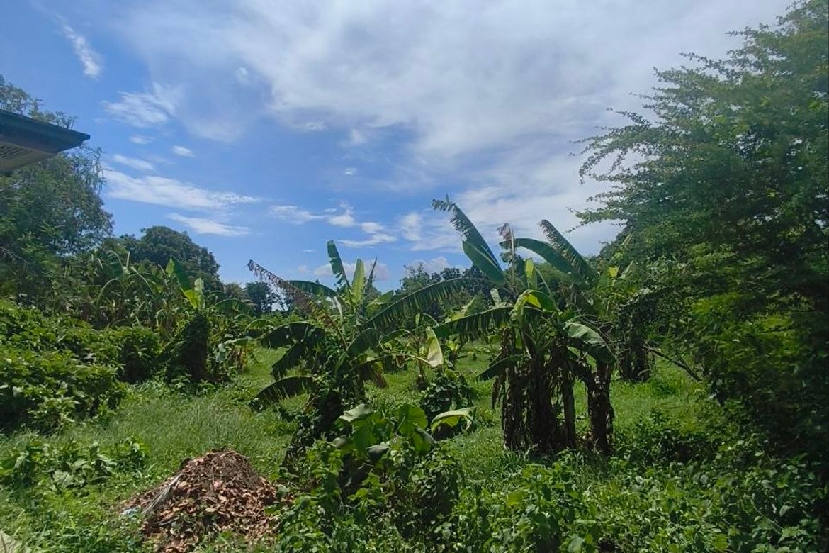 Land for Sale in Barangay 3, Calatagan, Batangas – photo 7
