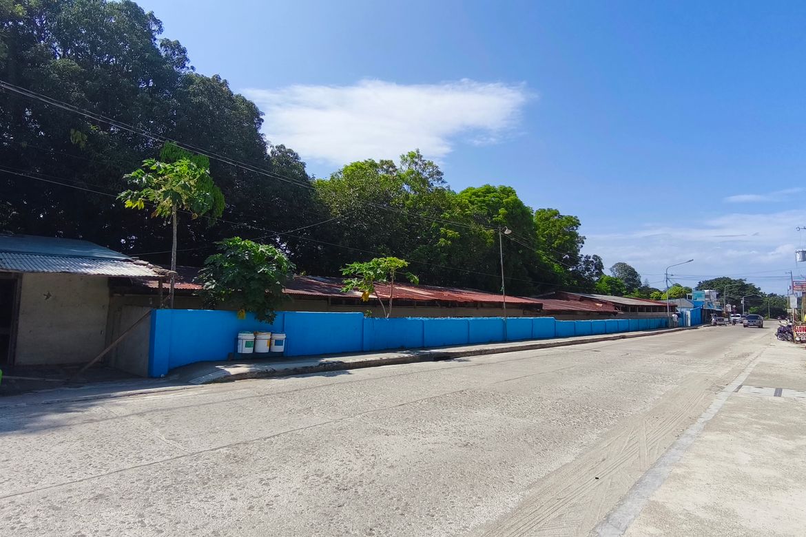 Land for Sale in Barangay 3, Calatagan, Batangas – photo 8