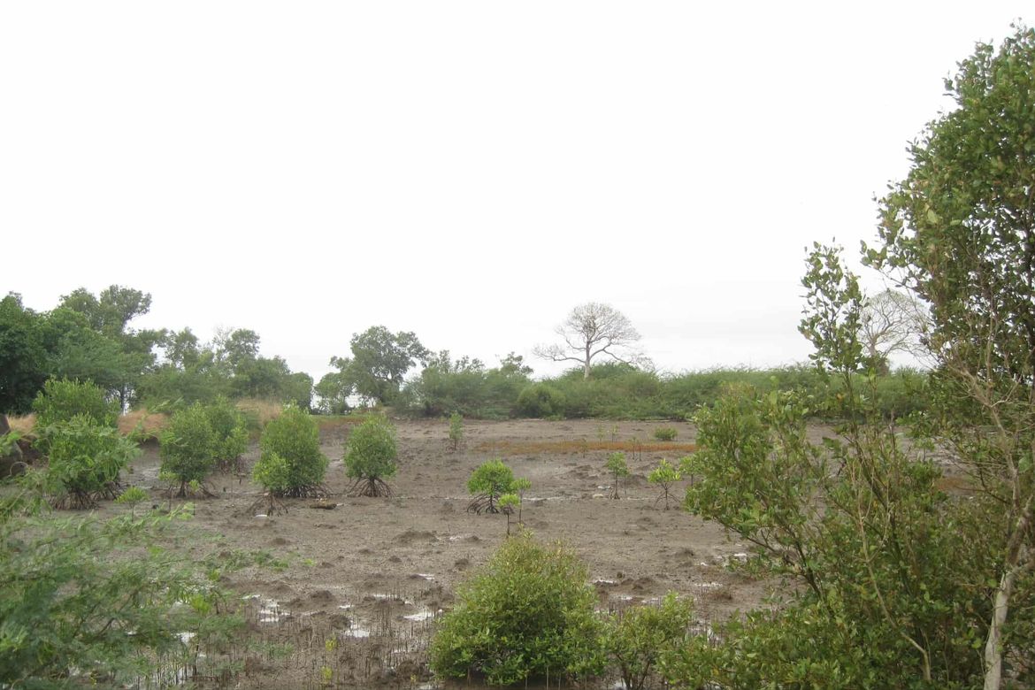 Land for Sale in Barangay 3, Calatagan, Batangas – photo 5