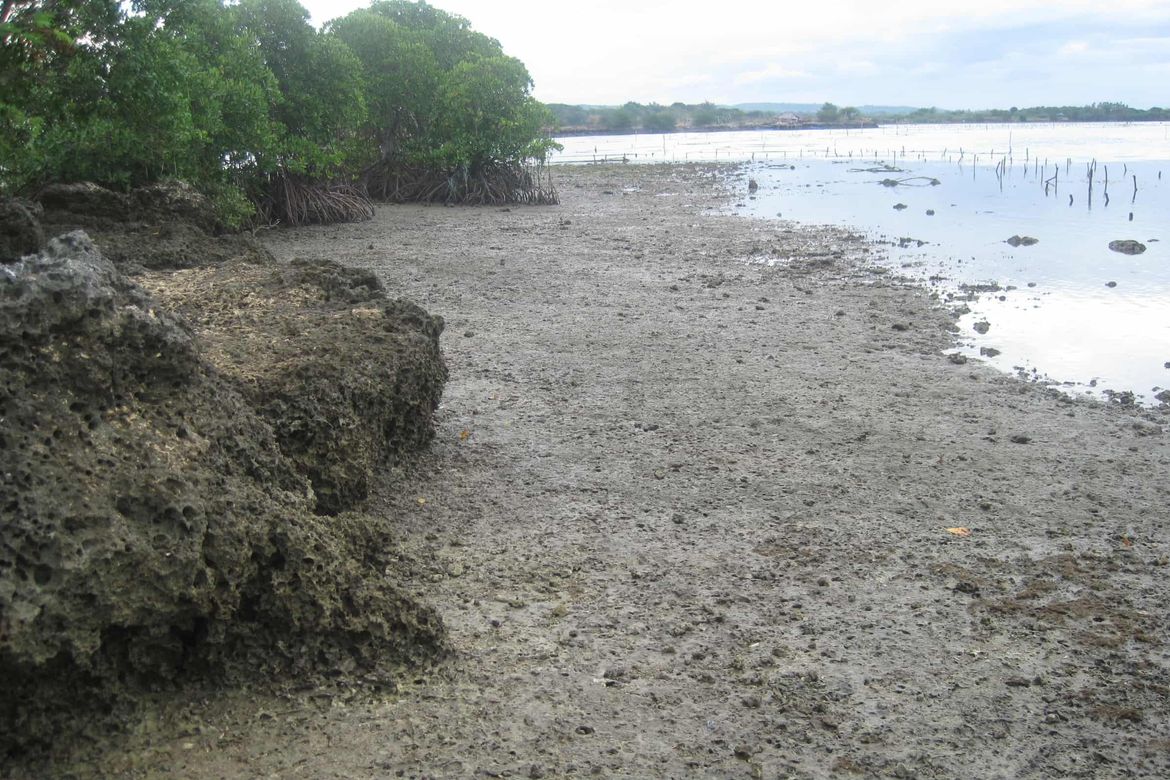 Land for Sale in Barangay 3, Calatagan, Batangas – photo 8