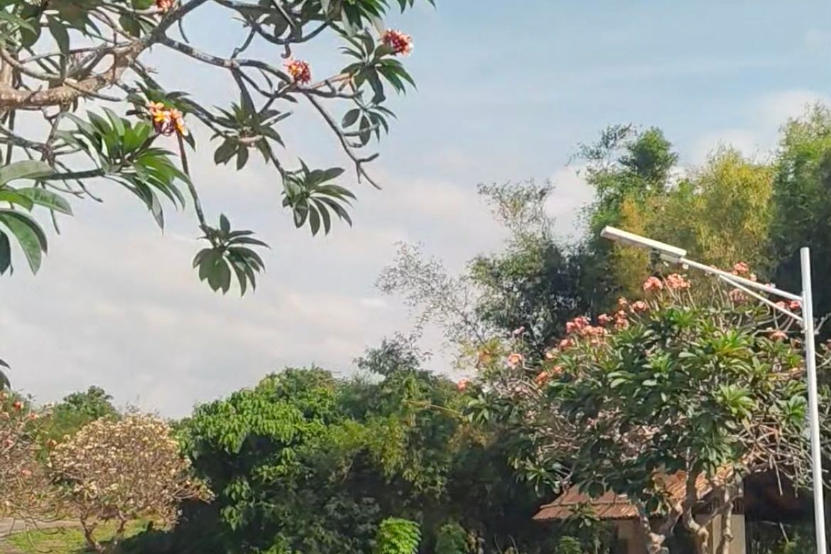 Land for Sale in Barangay 3, Calatagan, Batangas – photo 8