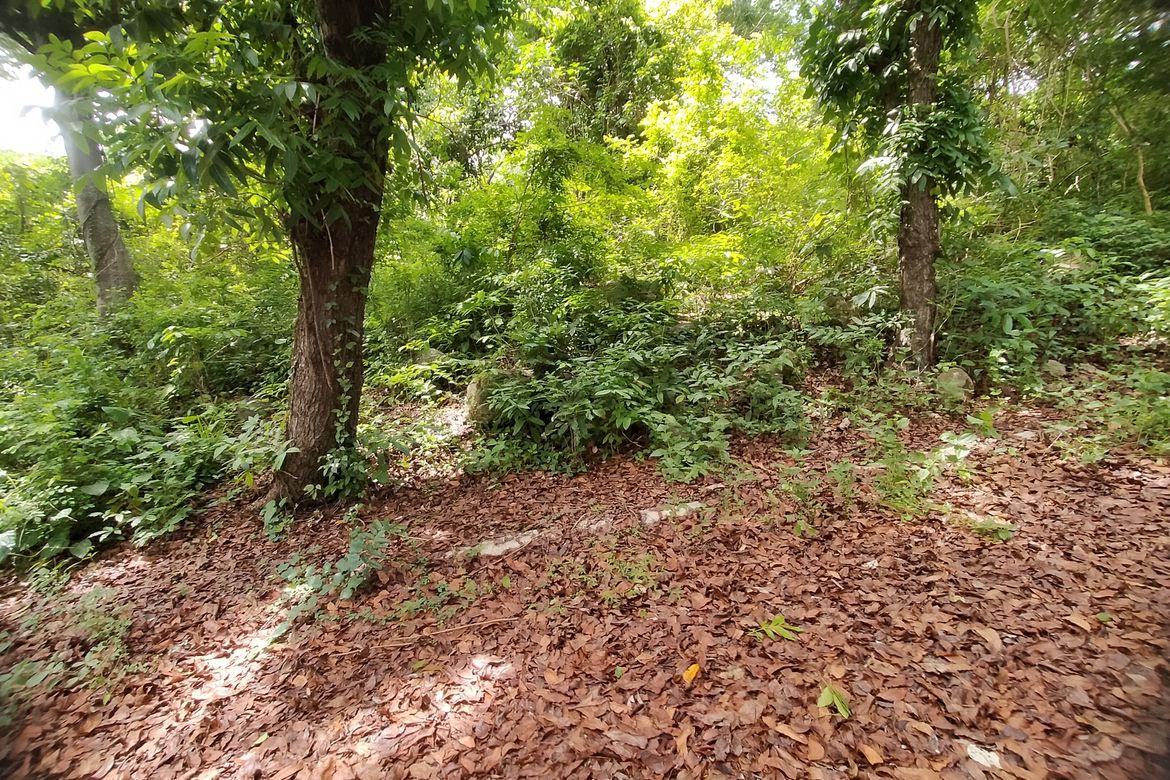 Land for Sale in Barangay 5, Lian, Batangas – photo 4
