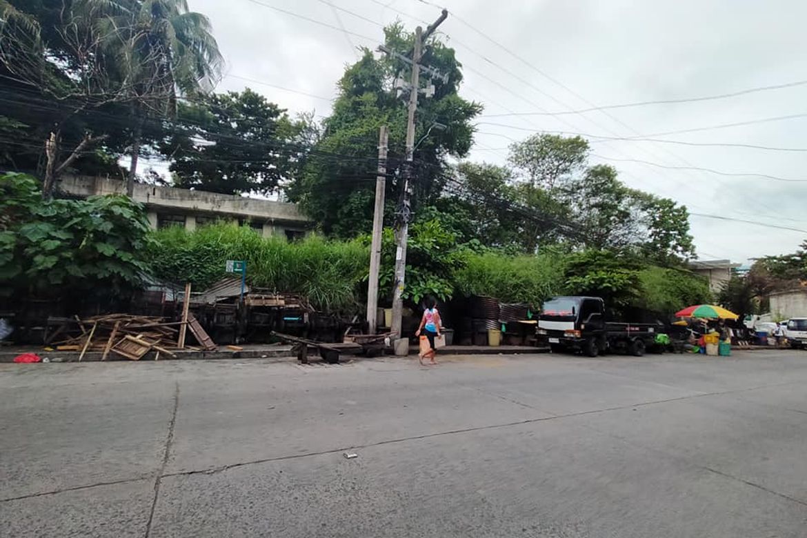 Land for Sale in Barangay 6-A, Davao City, Davao del Sur – photo 3