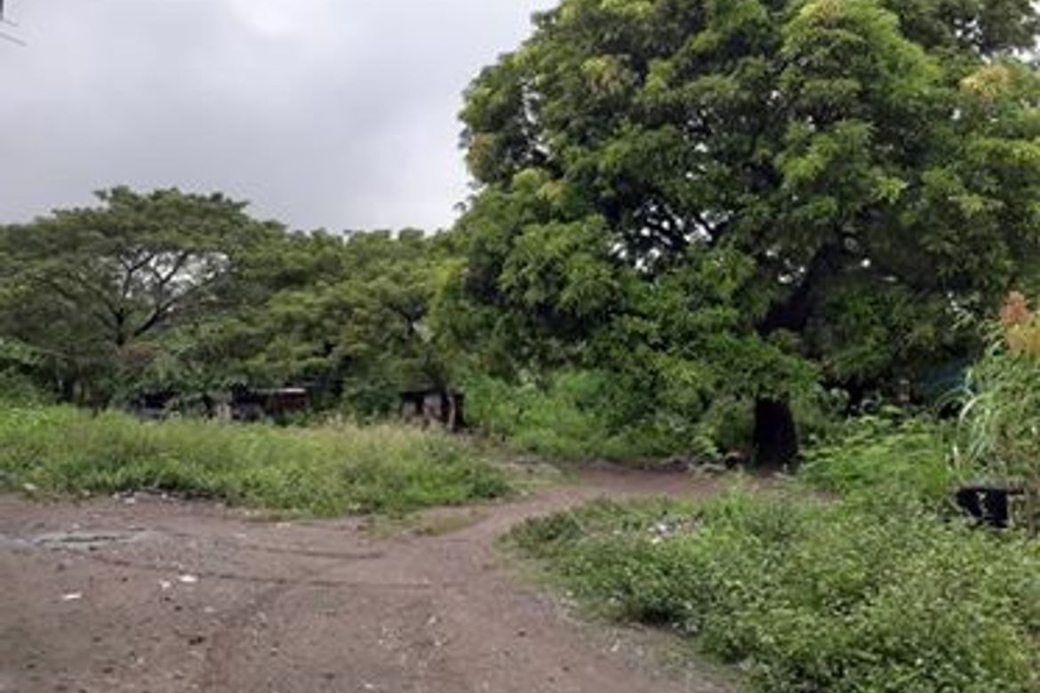 Land for Sale in Barangay 88, Tacloban, Leyte – photo 5