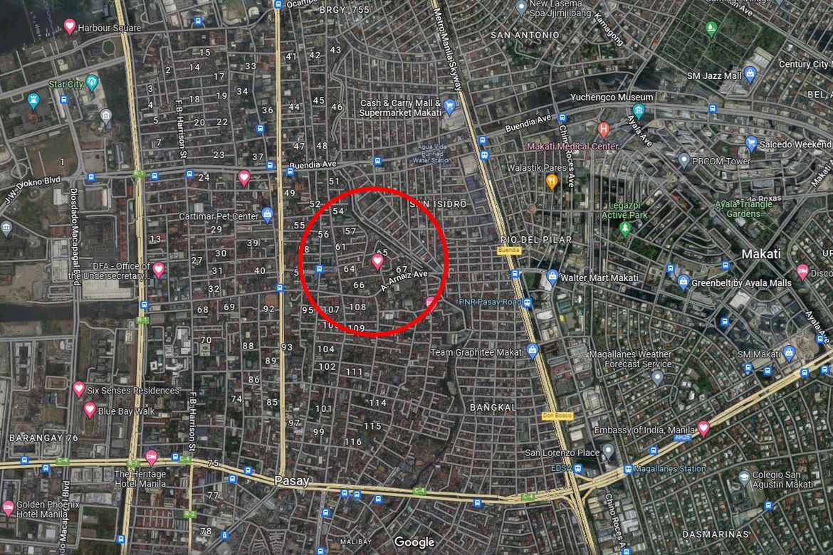 Land for Sale in Barangay 92, Pasay, Metro Manila near LRT-1 Gil Puyat – photo 8
