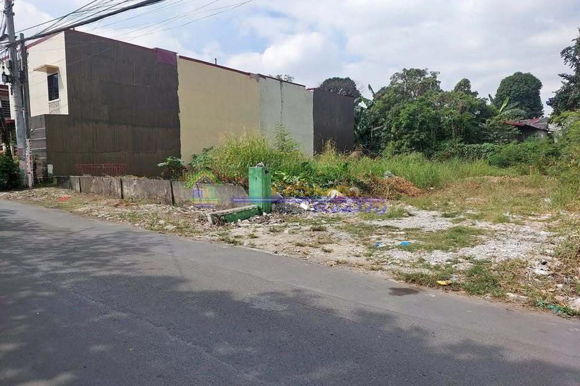 Land for Sale in Barangay 93, Caloocan, Metro Manila near LRT-1 Monumento – photo 4