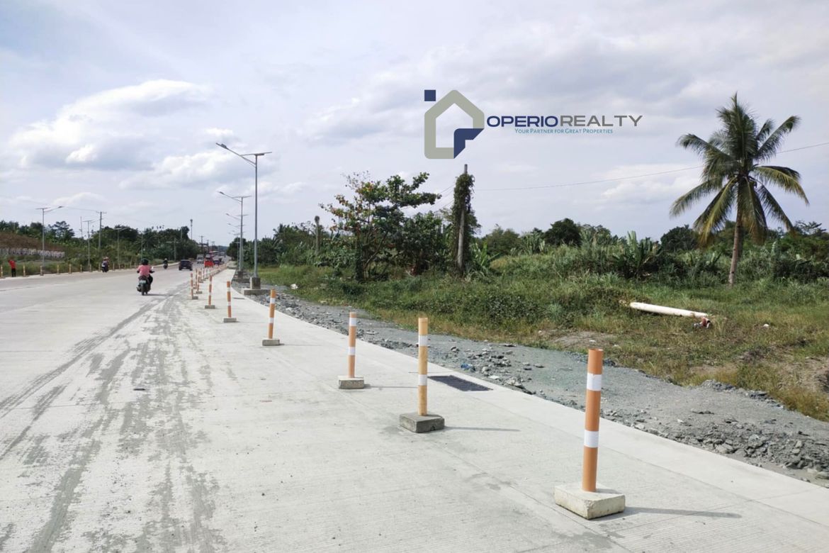 Land for Sale in Barangay 97, Tacloban, Leyte – photo 5