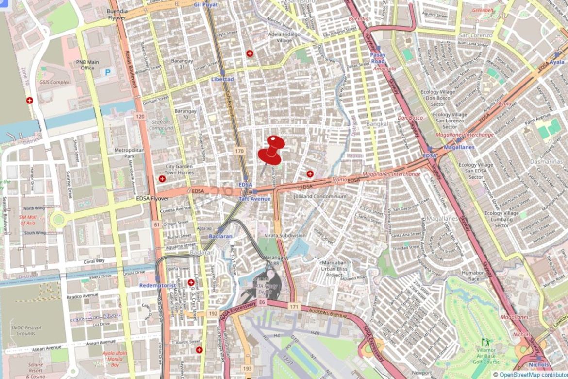 Land for Sale in Barangay 98, Pasay, Metro Manila near MRT-3 Taft Avenue – photo 4