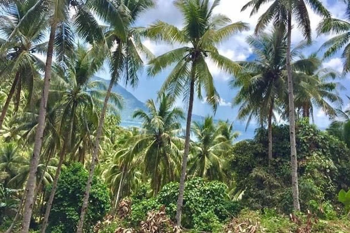 Land for Sale in Barangay I, Romblon, Romblon – photo 4