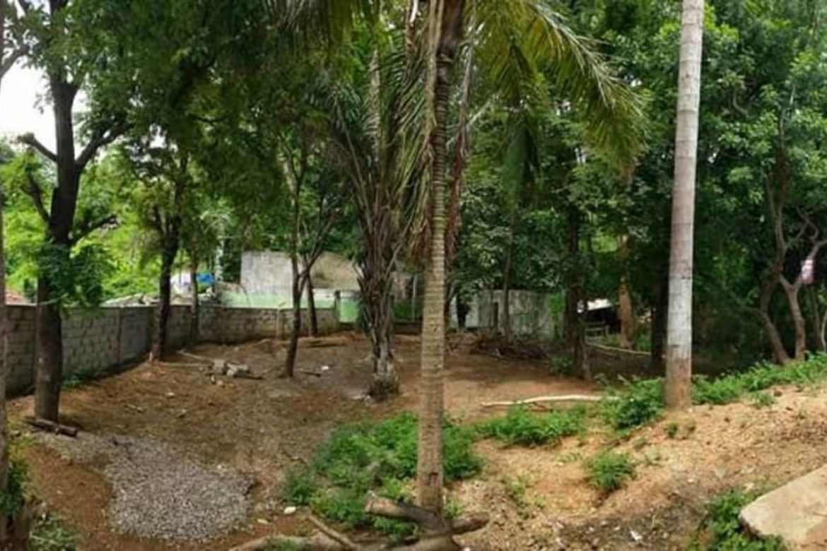 Land for Sale in Barangay I, San Fernando, La Union – photo 2