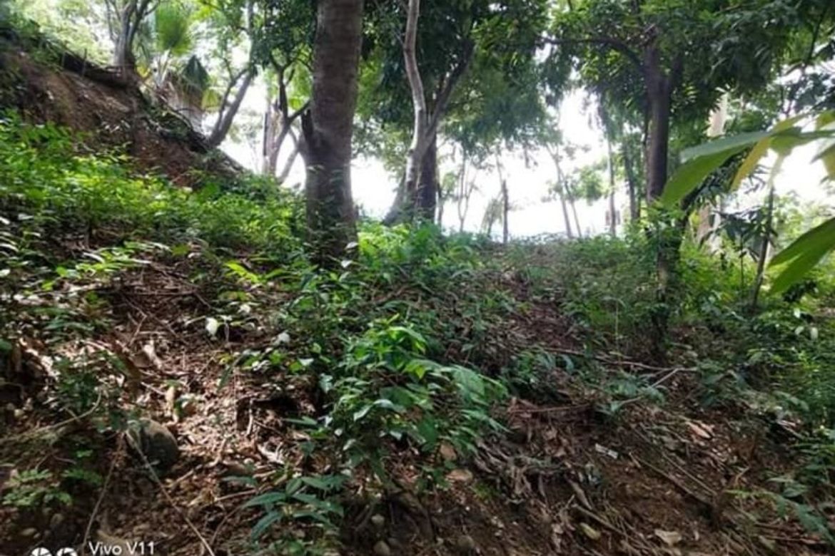 Land for Sale in Barangay I, San Fernando, La Union – photo 4