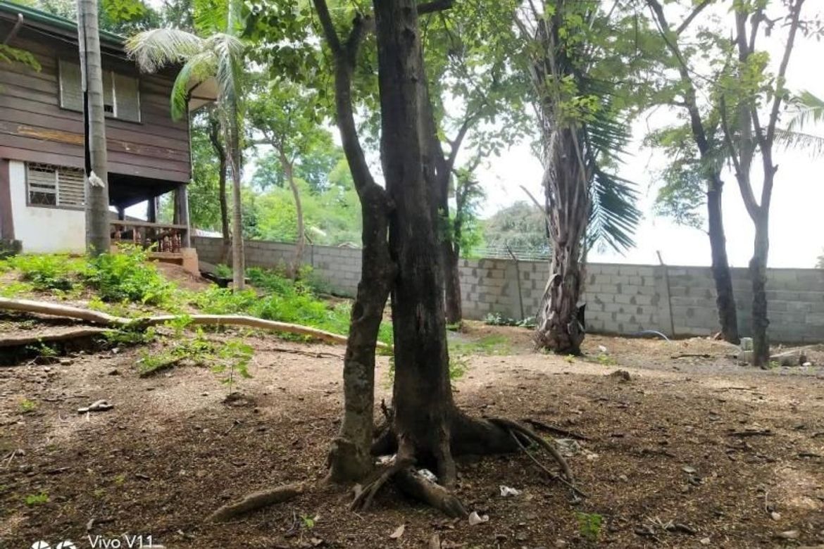 Land for Sale in Barangay I, San Fernando, La Union – photo 6