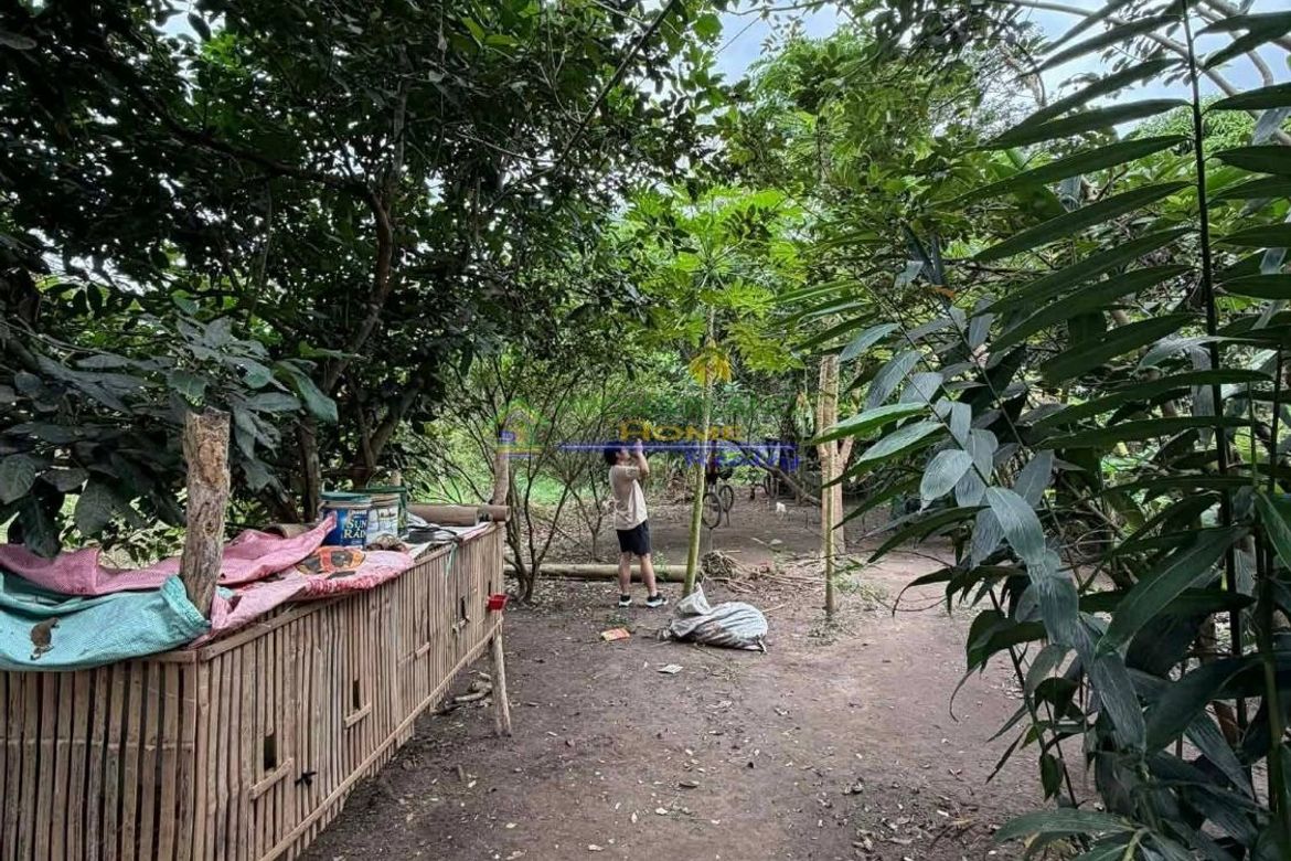 Land for Sale in Barangay I, Tiaong, Quezon – photo 2