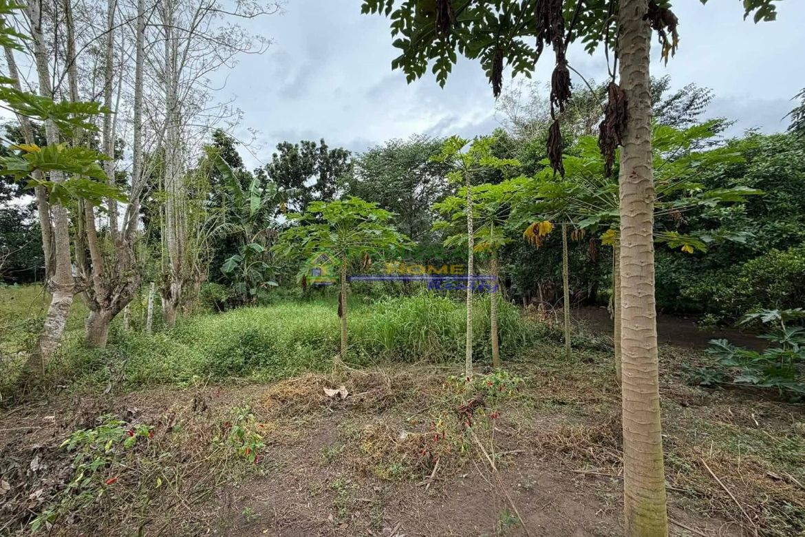 Land for Sale in Barangay I, Tiaong, Quezon – photo 3
