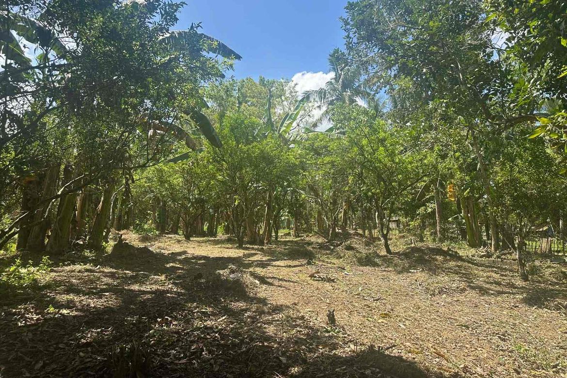 Land for Sale in Barangay I, Tiaong, Quezon – photo 5