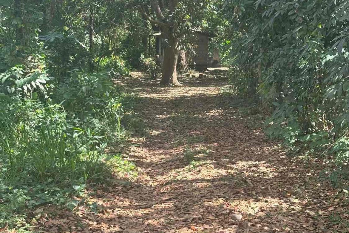 Land for Sale in Barangay I, Tiaong, Quezon – photo 6
