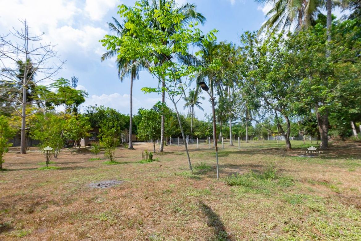 Land for Sale in Barangay II, Alaminos, Laguna – photo 2