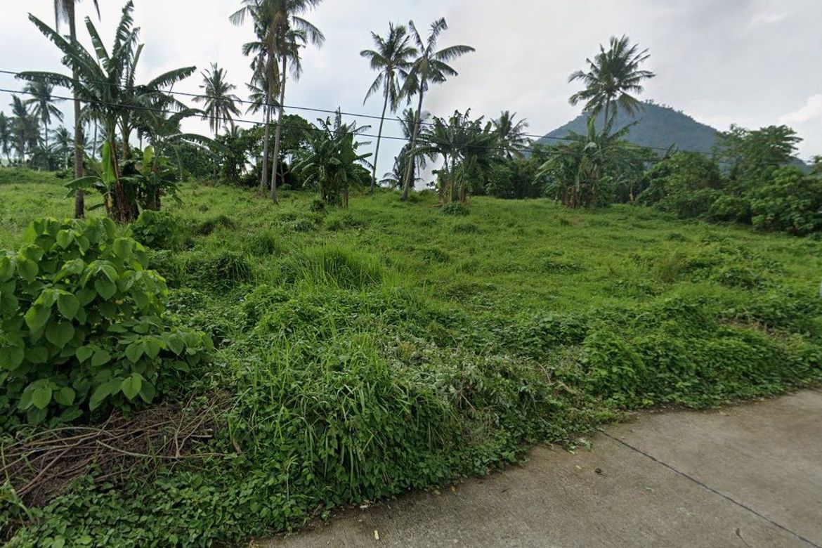 Land for Sale in Barangay II-B, San Pablo, Laguna – photo 3