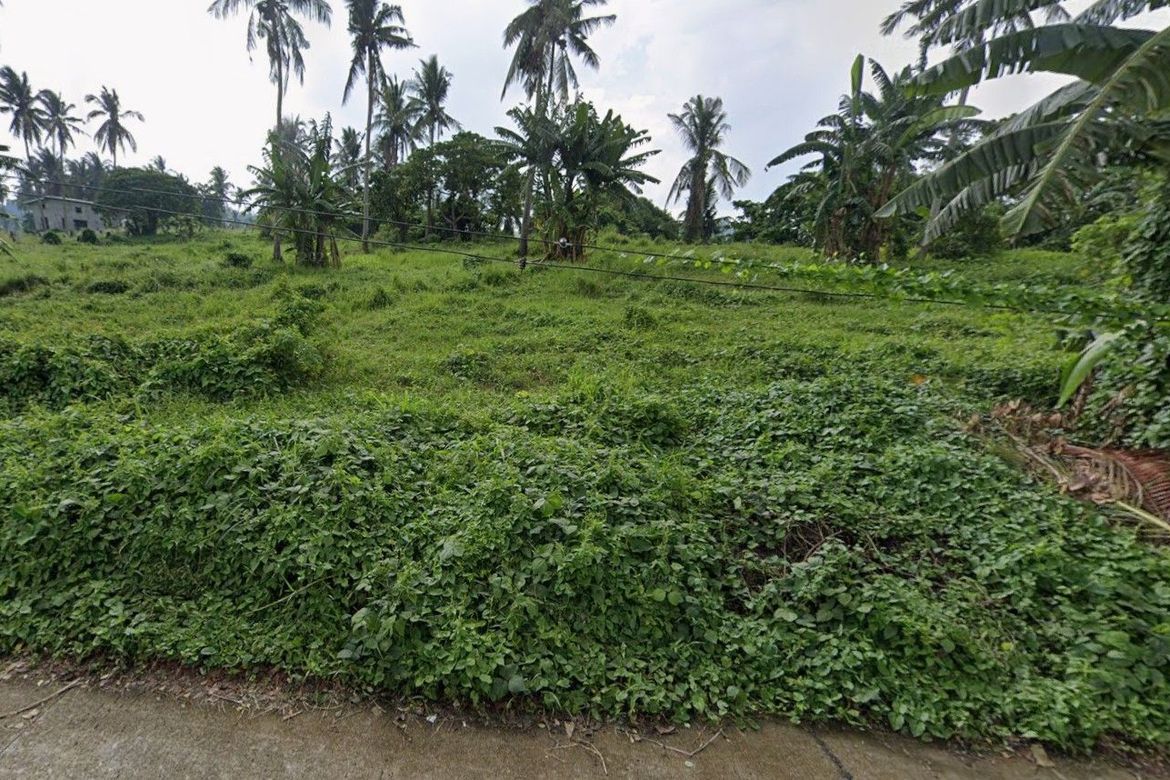 Land for Sale in Barangay II-B, San Pablo, Laguna – photo 4