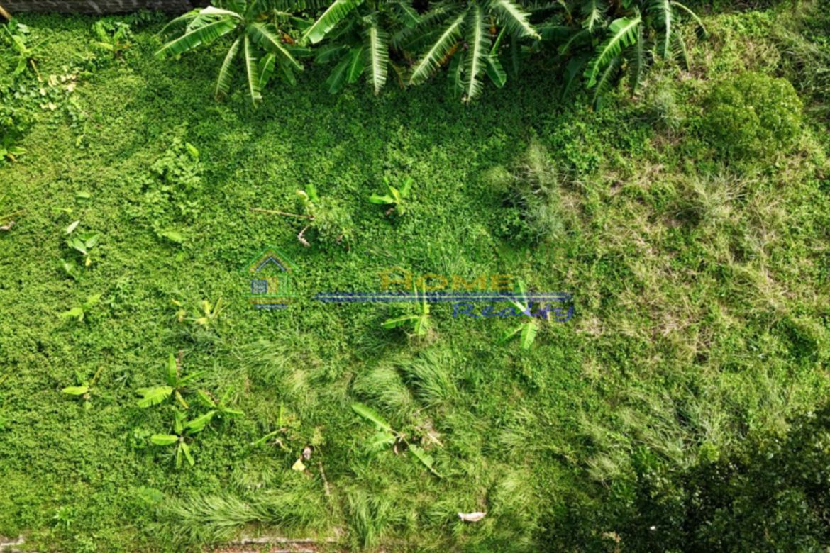 Land for Sale in Barangay II-B, San Pablo, Laguna – photo 3